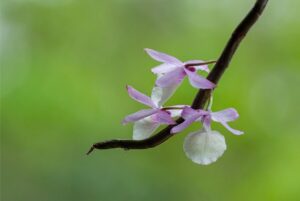 Gd41729ac71d0642a52645bb48458c2afaff3c851a224cd78db75602f115d144cde3d12fe48beac1b2e2ffa08900a0a21091a507b298cf8ec9dfa6ac8aa5d8e3f 640